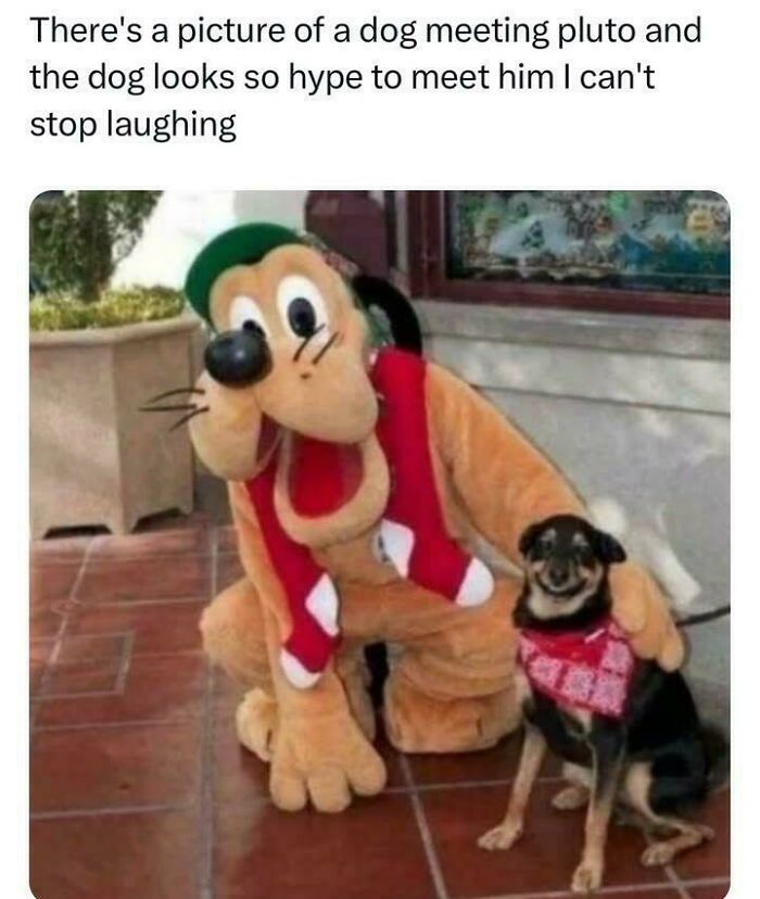 Dog meeting Pluto character, wearing a red bandana, looking excited in a funny dog meme that lifts your mood.