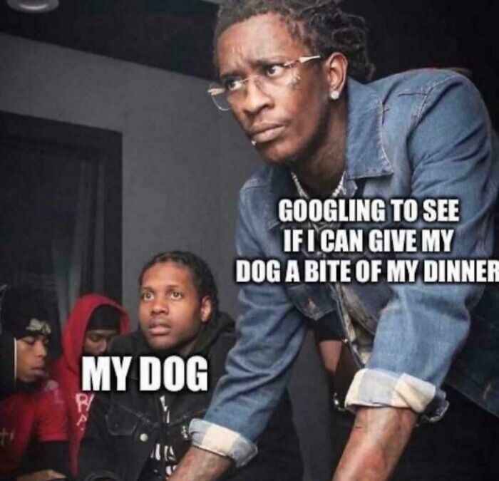 A man focused on his laptop, captioned about googling to share dinner, with another person labeled as my dog, dog memes humor.