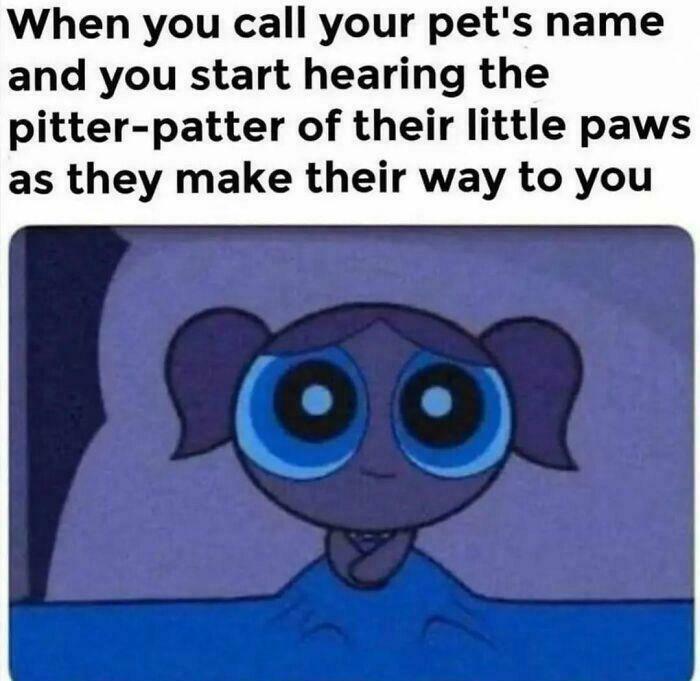 Cute cartoon character wide-eyed in the dark with text about hearing the pitter-patter of little dog paws approaching.