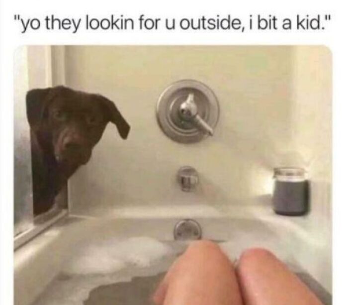 Dog meme showing a dog peeking into a bathtub with a funny caption about biting a kid outside.