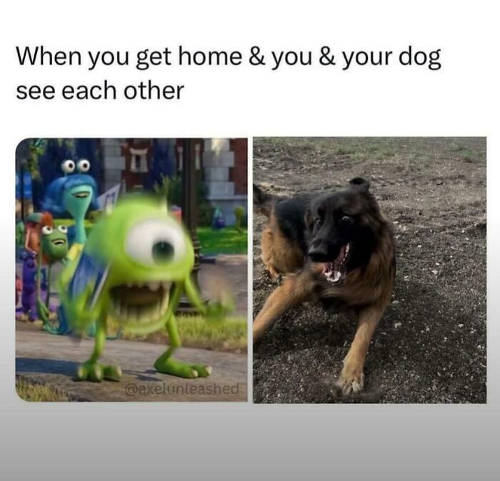 Excited dog and animated character reacting joyfully, capturing the humor of popular dog memes online.