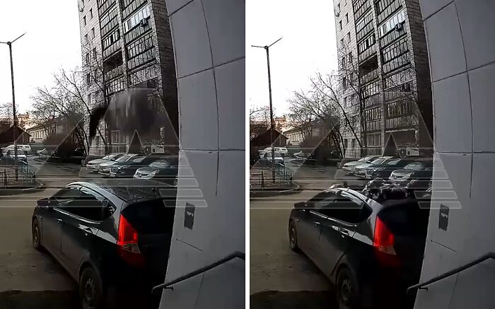 Black car parked near a building with a cat climbing on top, moments before becoming a viral internet icon.