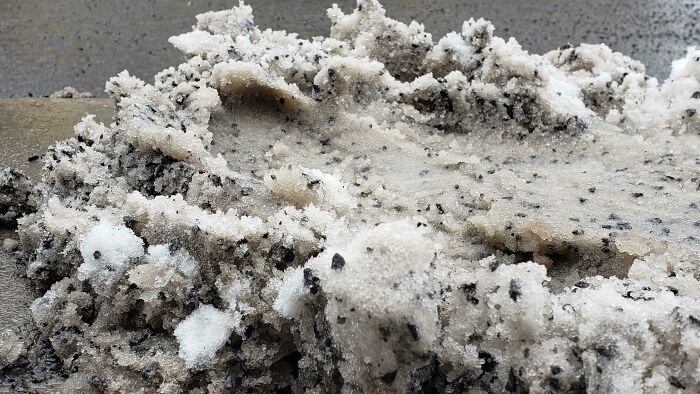 Close-up of a moldy forbidden food item covered with white and black fungal growth, highlighting unsafe foods to resist eating.
