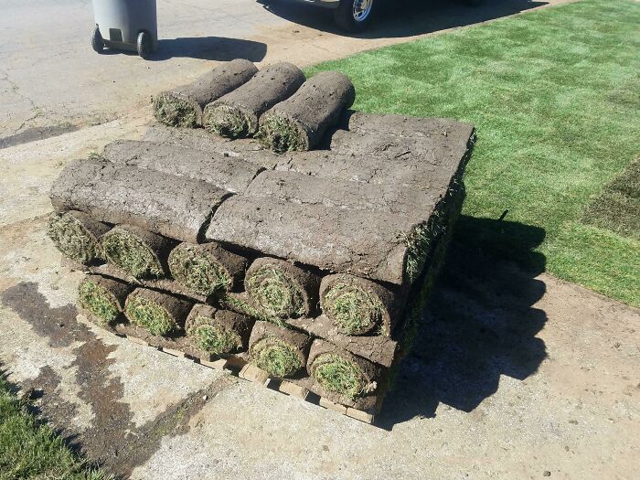Stack of rolled sod ready for installation on a sunny day, illustrating natural ground cover and outdoor landscaping.
