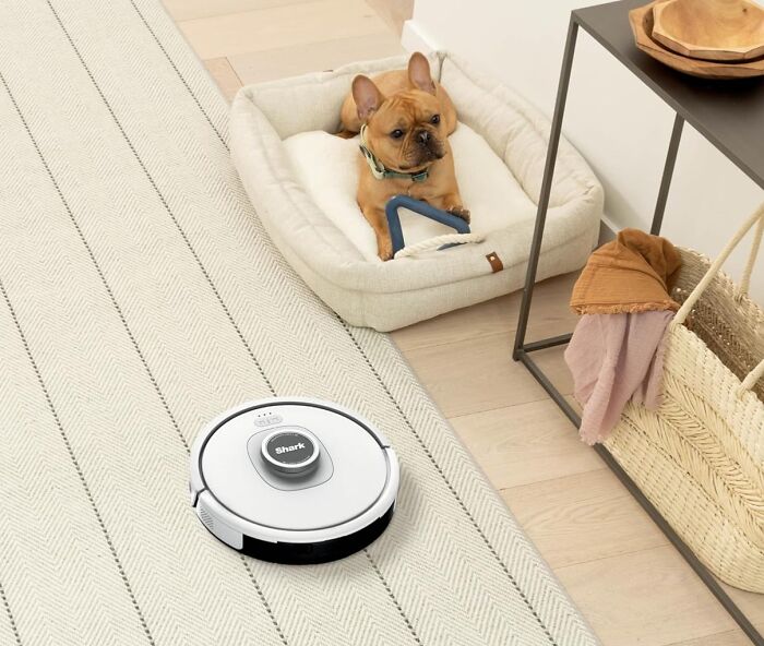 French bulldog resting in a bed while a Shark robot vacuum cleans a kitchen floor near a modern side table and basket