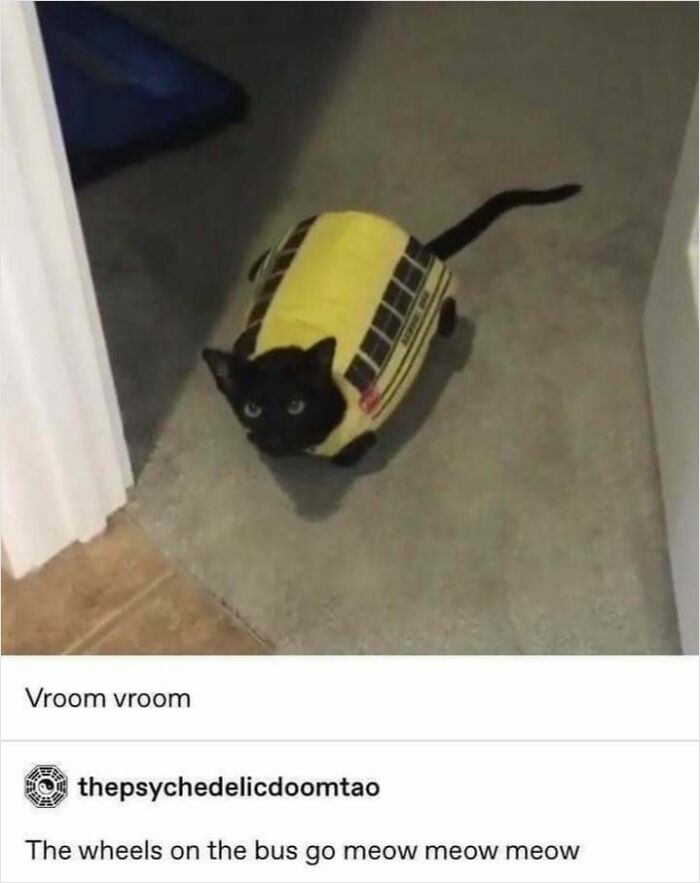 Black cat wearing a yellow bus costume on carpet, perfect for cat memes lovers and funny cat pictures.