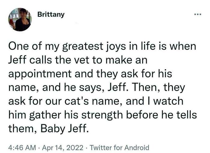 Screenshot of a wholesome internet moment tweet about a man calling the vet and lovingly naming the cat Baby Jeff.