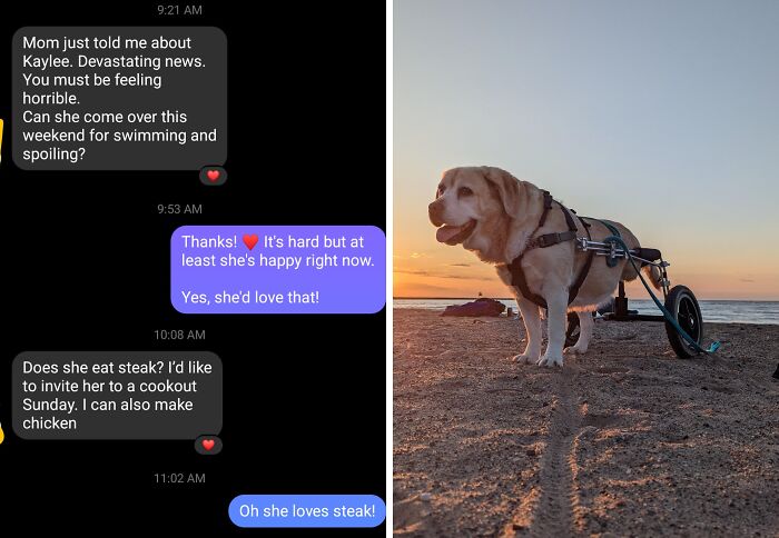 Text messages showing a heartwarming conversation paired with a happy dog in a wheelchair at the beach at sunset, capturing wholesome internet moments.