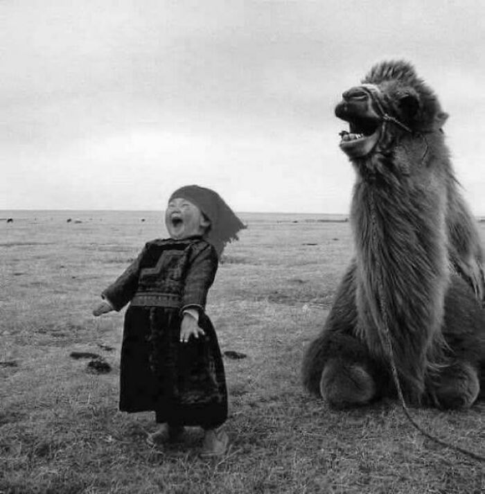 Child laughing joyfully next to a sitting camel in an open field, capturing wholesome internet moments of happiness.