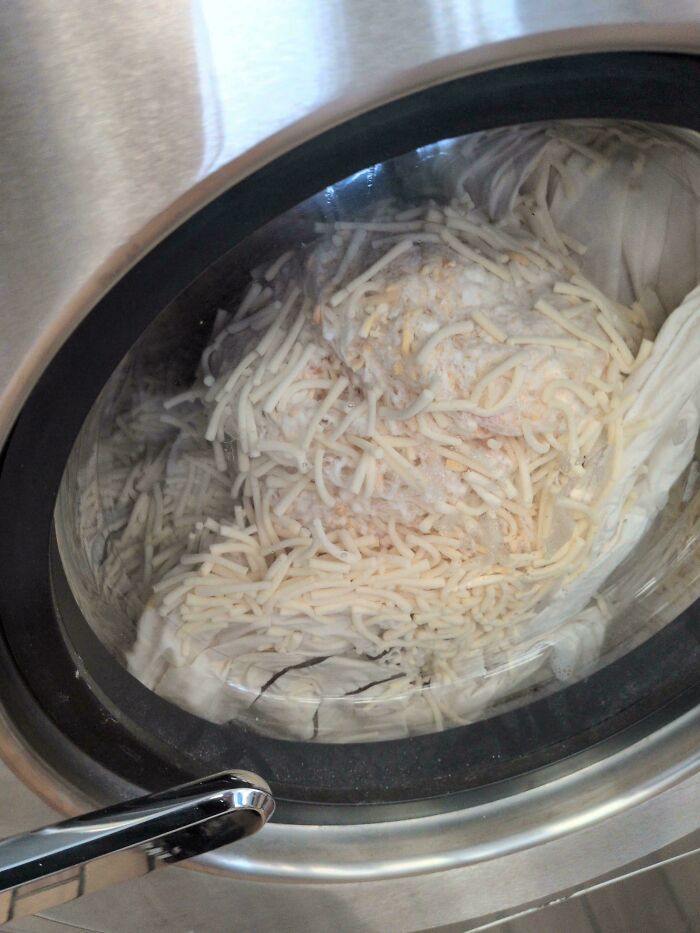 Moldy shredded cheese inside washing machine drum, illustrating one of the forbidden foods to resist eating.
