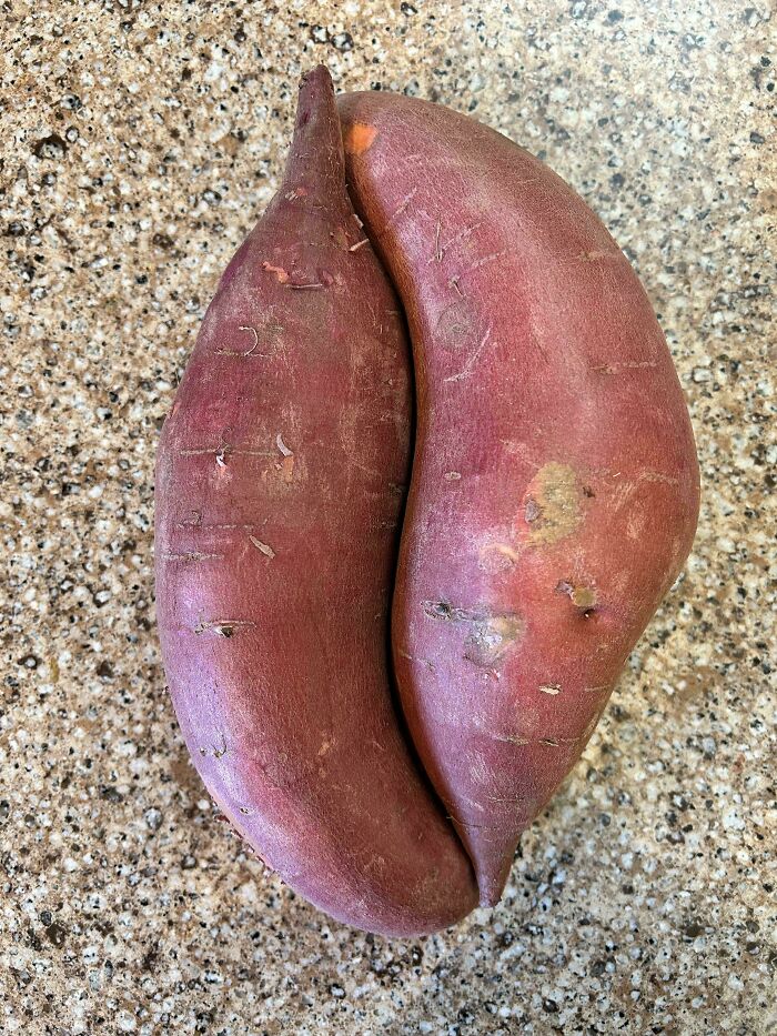 Two sweet potatoes aligned perfectly on a speckled countertop, showcasing natural symmetry and shape alignment.