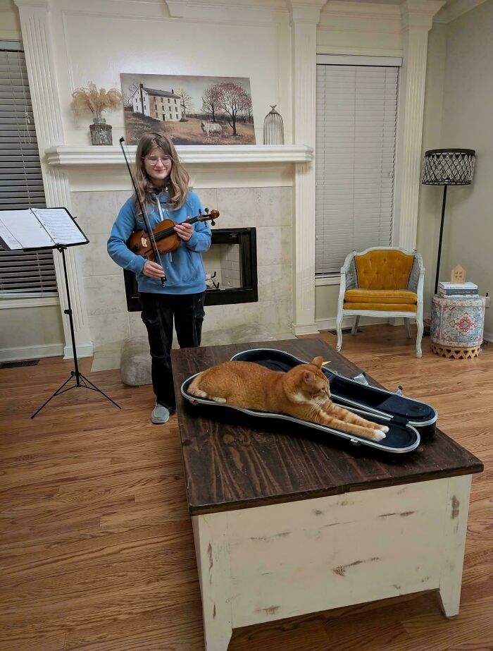 Girl holding violin while an orange cat lies stretched inside an open violin case on a wooden table perfectly aligned.