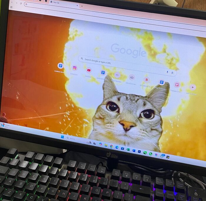 Computer monitor displays a browser with a cat and explosion background, showcasing employee jokes and prank creativity.