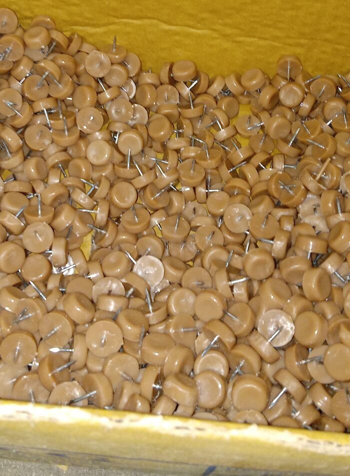 A close-up of many brown furniture tacks with sharp metal tips scattered inside a yellow container, not edible forbidden foods.