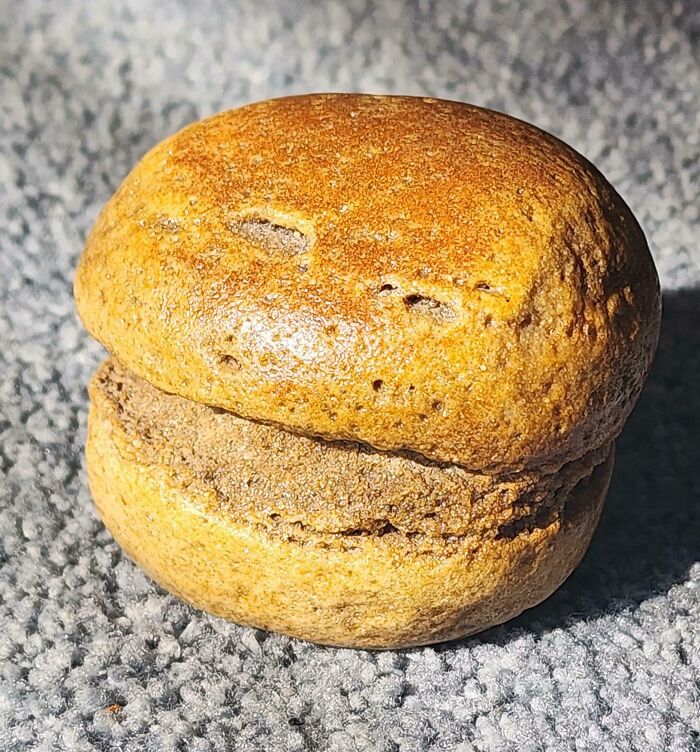 Close-up of a strange baked item resembling a forbidden food that you should resist eating for health reasons.