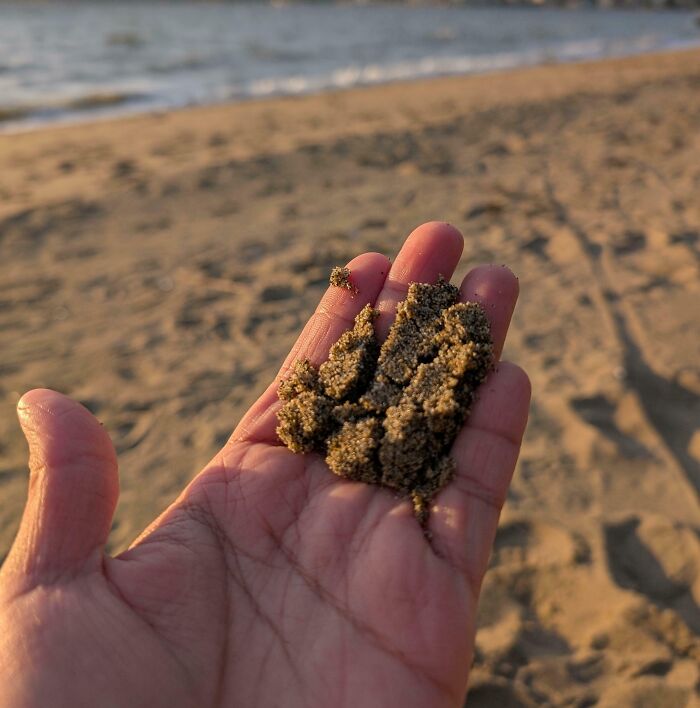 Hand holding wet sand on a beach at sunset, illustrating one of the forbidden foods you should resist eating for your own good.