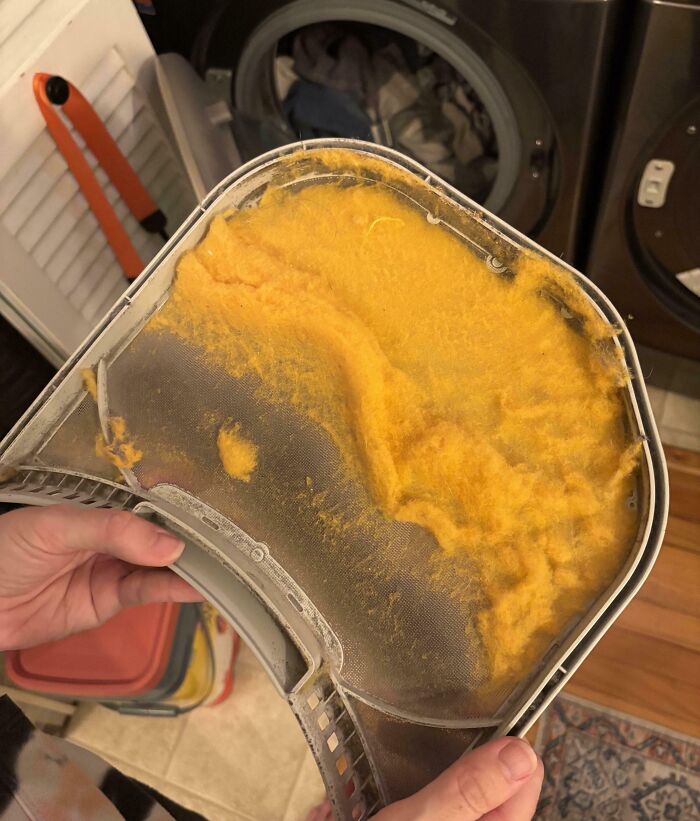 Clogged lint trap in a dryer showing large amounts of collected lint, highlighting household forbidden foods risks.
