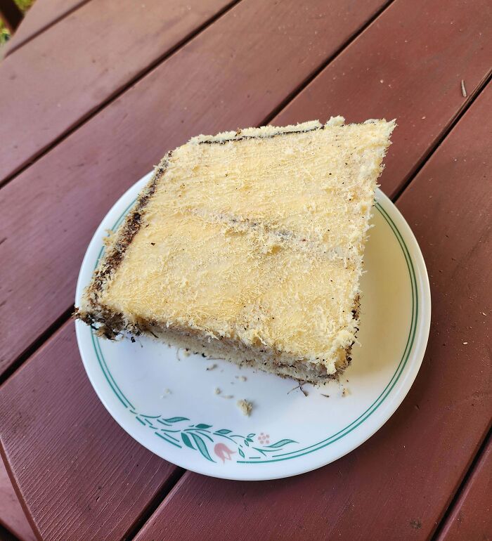 Square piece of forbidden food with a powdery texture served on a white plate with green floral design on wooden table.