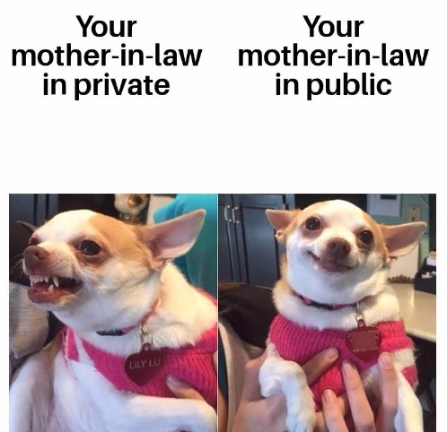 23 Cleaning Products That Will Trick Your In-Laws Into Thinking You Have Things Together