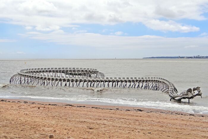 Sculpture of a serpent skeleton along the shoreline, one of the spectacular sculptures across the globe for travelers.