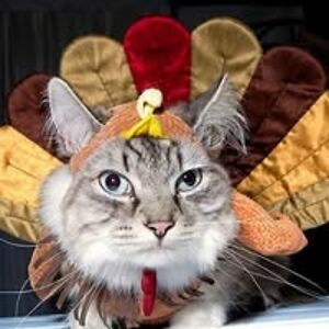 froggyqueen360 avatar