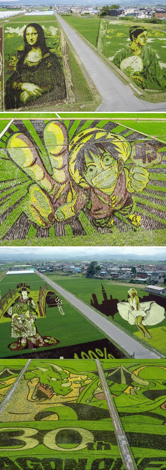 Aerial views of colorful rice paddy art depicting famous characters showing spill now creativity in fields.