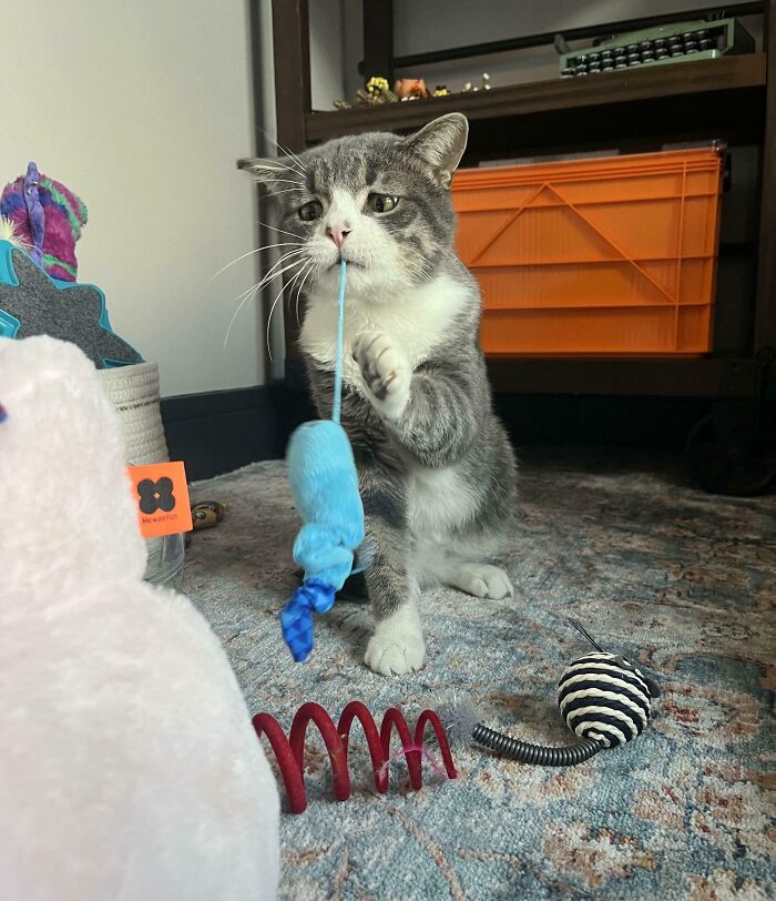 We're 48 Hours In And Ready To Foster Fail 😂