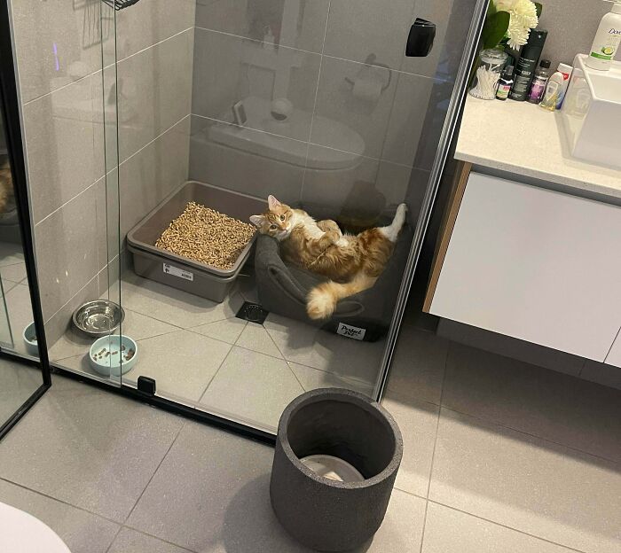 He Is Taking His Bed Rest Orders Very Seriously!