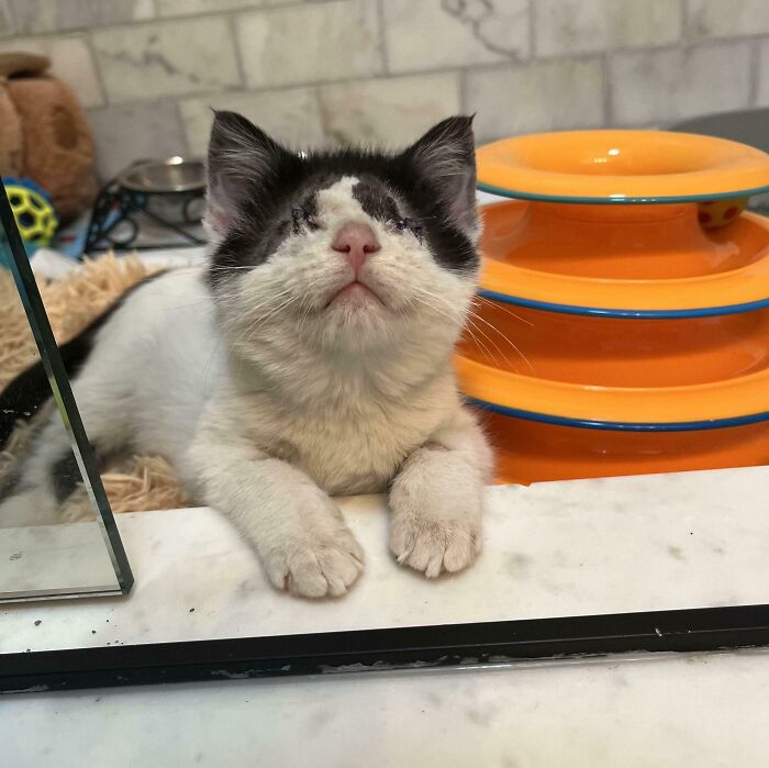 Hazy Has Been Adopted!