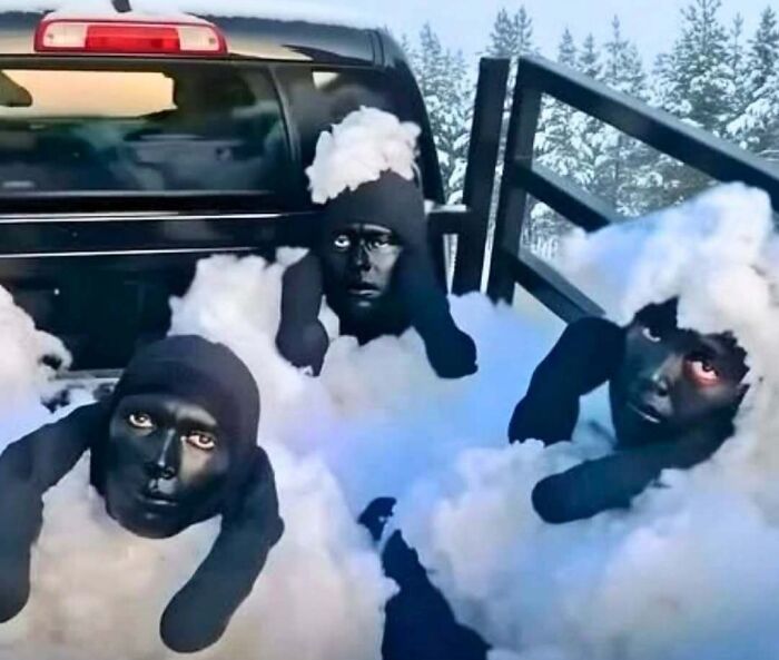 Three people with black painted faces and wool costumes resembling sheep sitting in a truck bed under snowy trees, spill now concept.