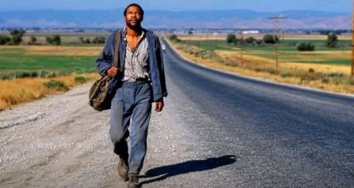 Man walking alone on a long road in a rural area, illustrating strange and unusual facts of our world.