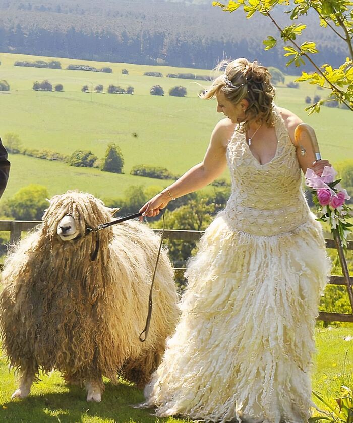 Bride in a unique wedding dress holding flowers and leading a fluffy sheep in a scenic outdoor setting, showcasing questionable taste.