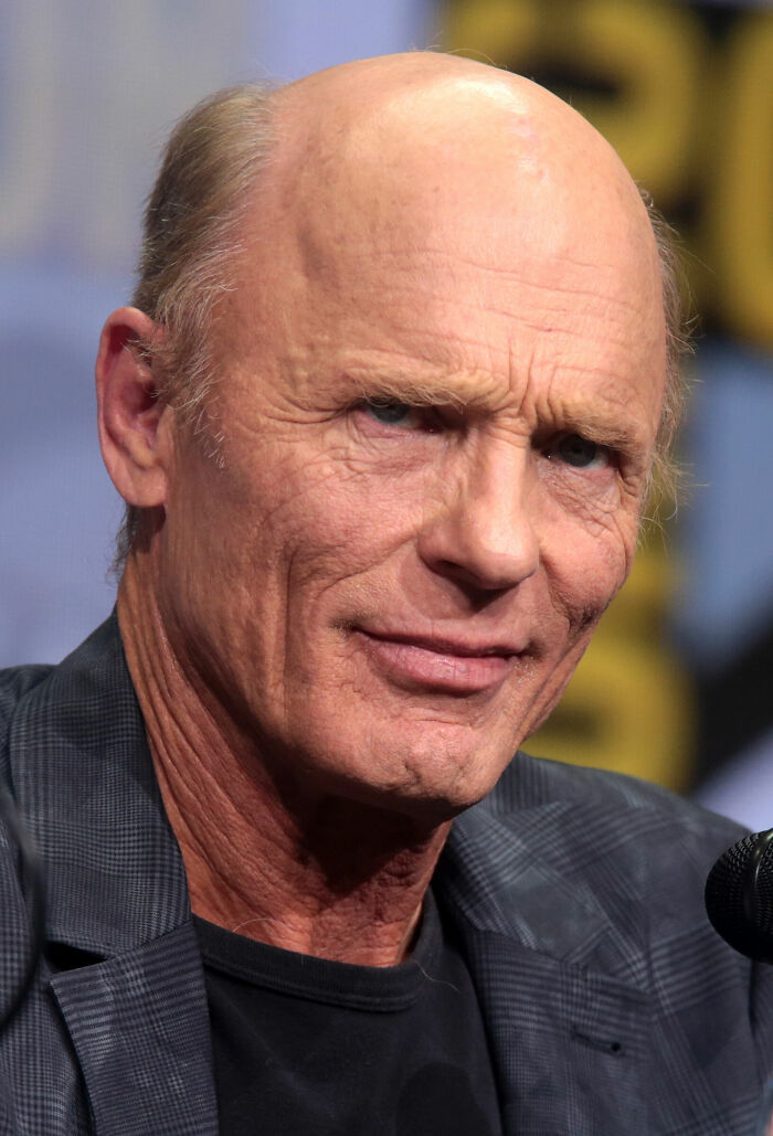 Ed Harris close-up portrait wearing a checkered jacket, capturing his facial features and expression in a public event.