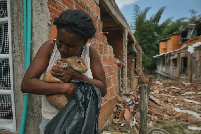 Woman holding a rabbit amid rubble and damaged buildings, capturing the strength and diversity of overlooked humans. Woman holding a rabbit amid rubble and damaged buildings, capturing the strength and diversity of overlooked humans.