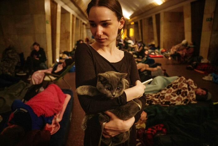Young woman holding a cat in a shelter, highlighting the strength and diversity of humans often overlooked in difficult times. Young woman holding a cat in a shelter, highlighting the strength and diversity of humans often overlooked in difficult times.