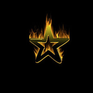 feverpitchrocknroll avatar