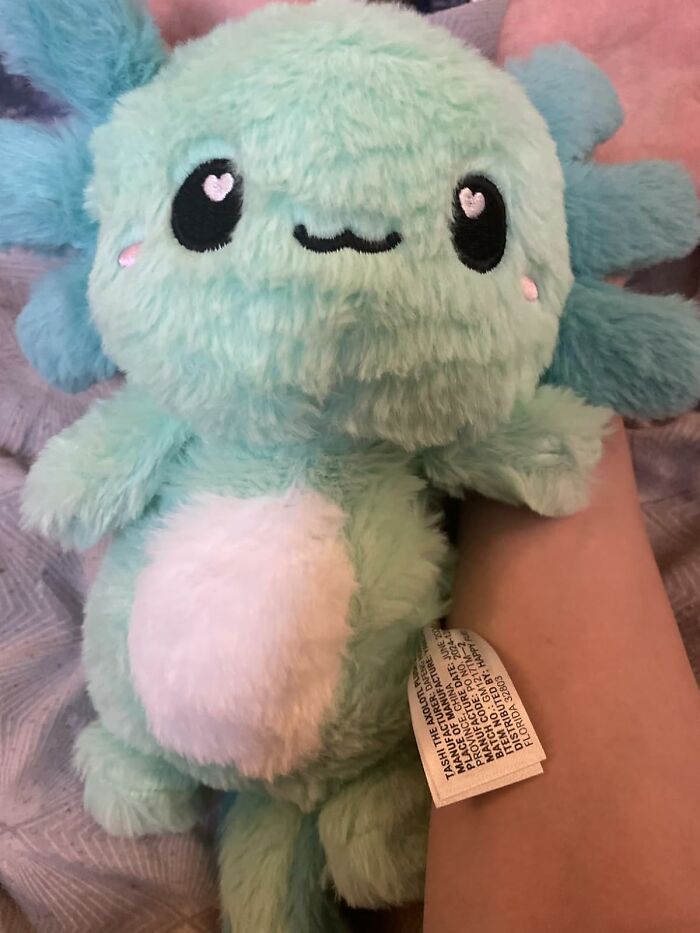  Send In The Warm, Cuddly Backup For Tummy Aches And Bedtime Chills In The Form Of This Axolotl Microwavable Heating Pad 