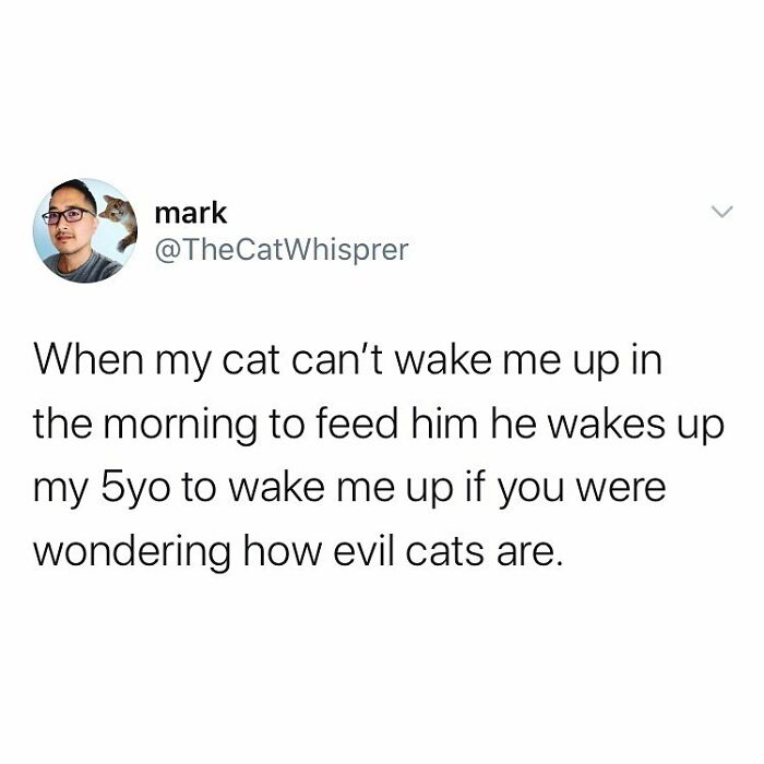 Parenting humor tweet about a cat waking a child to get fed, showcasing relatable parenting and marriage challenges.