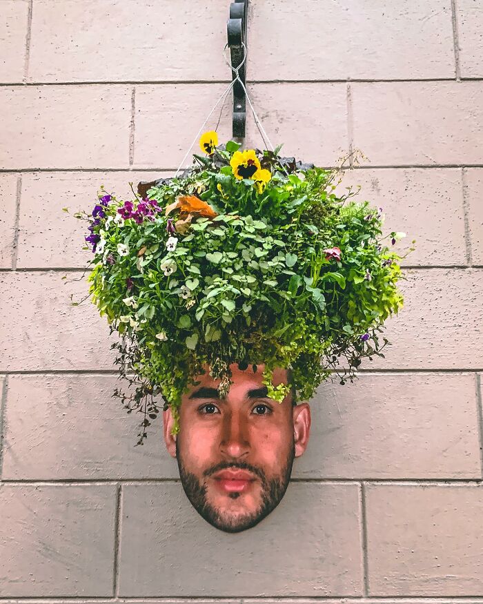Hanging plant with paper cutout of a man's face blending, showcasing brilliant paper cutouts by Rudy Willingham.