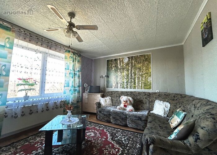 Cozy living room with vintage sofa, ceiling fan, and bright window as part of wild real estate listings photos.
