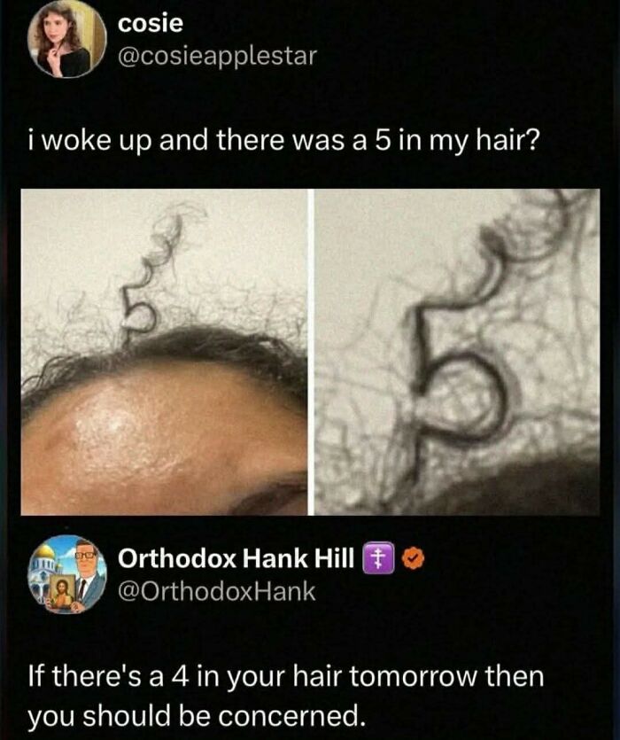 Twitter meme showing a curly hair shaped like the number 5 with a humorous comment about hilarious educational memes.