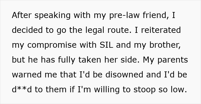Text excerpt discussing a legal dispute involving a woman stealing her sister-in-law’s book and the resulting family conflict.