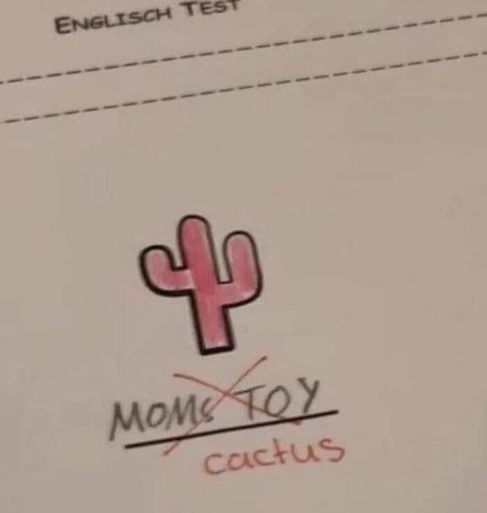 Funny meme showing a pink cactus drawing with a humorous mistake corrected, adding lightness and fun to life.