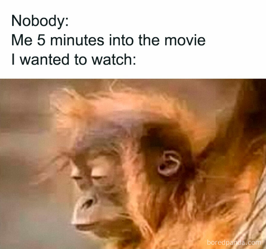 Sleepy orangutan face meme illustrating tiredness, part of funny animal memes to bring light to your day.