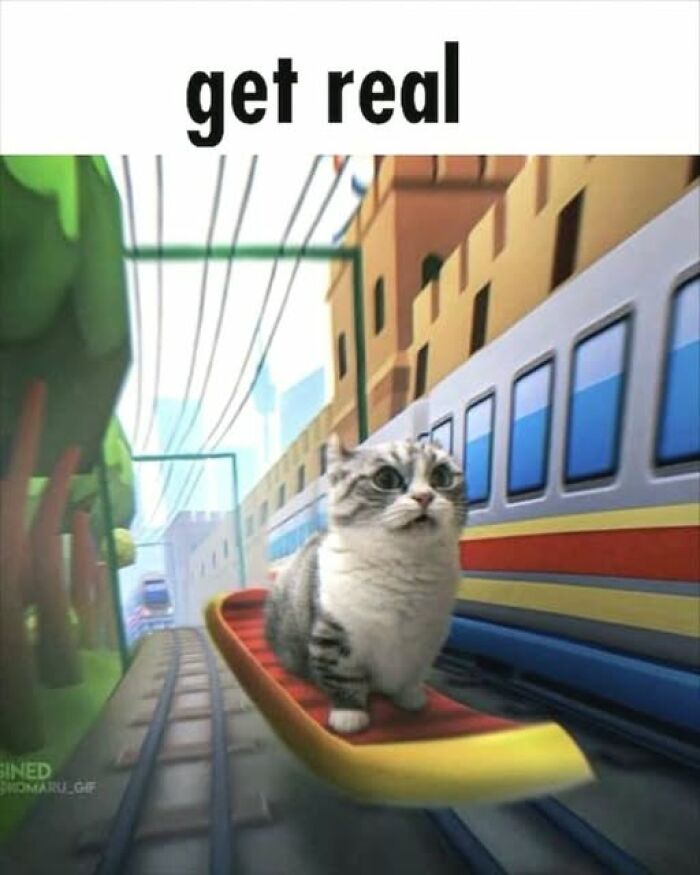 Cat riding a sled on train tracks next to a moving train, a popular pic that goes hard with a bold caption get real.