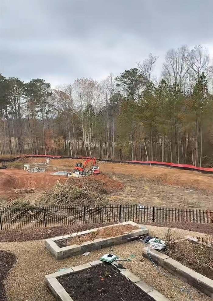 Construction site with bulldozers clearing land and removing trees near a wooded area, highlighting tree law issues. Construction site with bulldozers clearing land and removing trees near a wooded area, highlighting tree law issues.