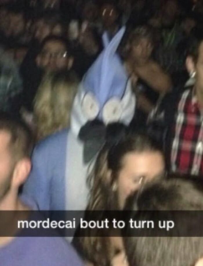 Person dressed in a Mordecai costume at a crowded party, capturing pics that go hard in a lively nightlife setting.