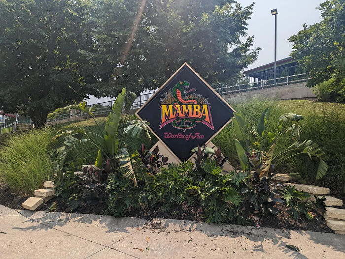 Mamba roller coaster sign at Worlds of Fun park, known for thrilling drops and intense seat belt safety moments.