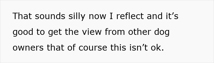 Text discussing dog owners reflecting on negligent behavior after a dog bites a kid, with regret expressed by the mom. Text discussing dog owners reflecting on negligent behavior after a dog bites a kid, with regret expressed by the mom.