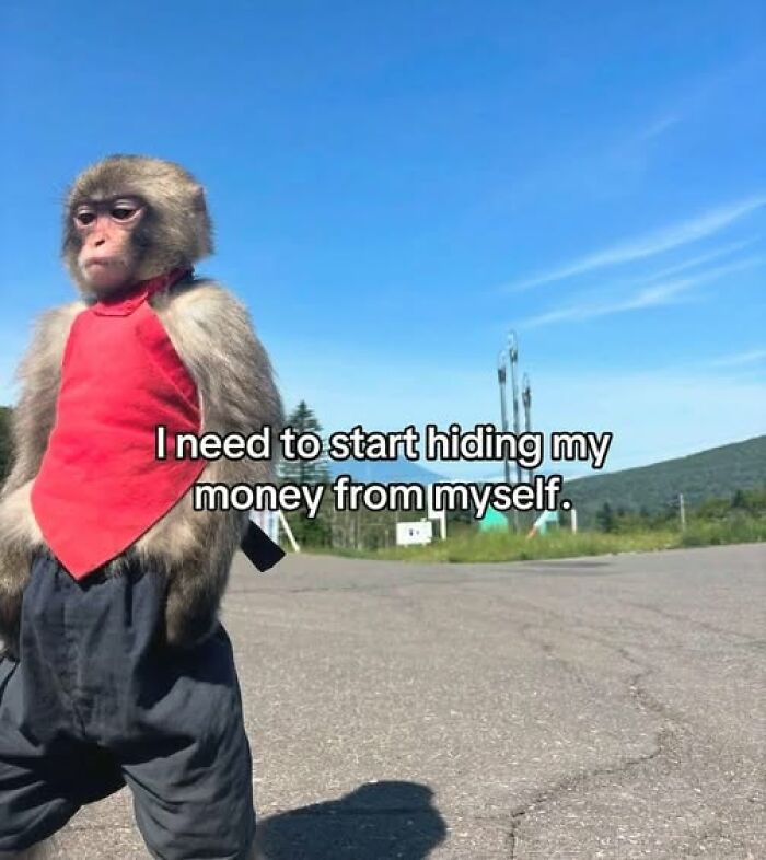 Monkey wearing red bandana and pants outdoors with humorous text about hiding money, a popular pic that goes hard.